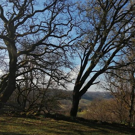 Gite Le Pigonnier Ecogite Le Luquet Saint Beauzeil 82150 Esterno foto