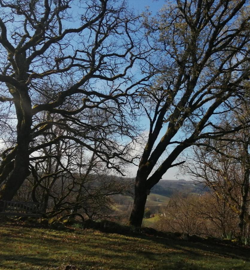 Gite Le Pigonnier Ecogite Le Luquet Saint Beauzeil 82150 Esterno foto