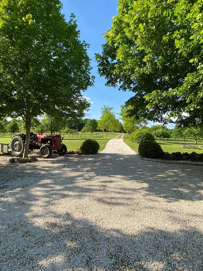Gite Le Pigonnier Ecogite Le Luquet Saint Beauzeil 82150 Esterno foto